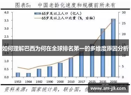 如何理解巴西为何在全球排名第一的多维度原因分析