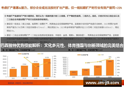 巴西独特优势技能解析：文化多元性、体育强国与创新领域的完美结合