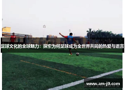 足球文化的全球魅力：探索为何足球成为全世界共同的热爱与语言