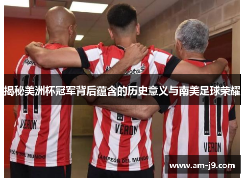 揭秘美洲杯冠军背后蕴含的历史意义与南美足球荣耀