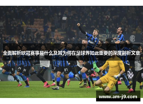 全面解析欧冠赛事是什么及其为何在足球界如此重要的深度剖析文章 全面解析欧冠赛事是什么及其为何在足球界如此重要的深度剖析文章