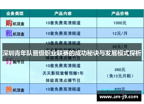 深圳青年队晋级职业联赛的成功秘诀与发展模式探析