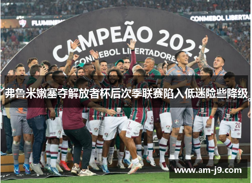弗鲁米嫩塞夺解放者杯后次季联赛陷入低迷险些降级