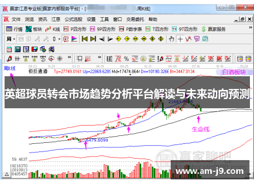 英超球员转会市场趋势分析平台解读与未来动向预测