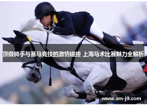 顶级骑手与赛马竞技的激情碰撞 上海马术比赛魅力全解析