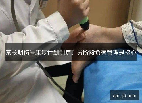 某长期伤号康复计划制定,分阶段负荷管理是核心 某长期伤号康复计划制定,分阶段负荷管理是核心